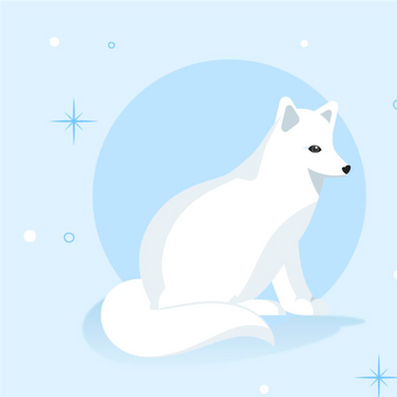 white_fox