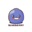 blueberry_pi